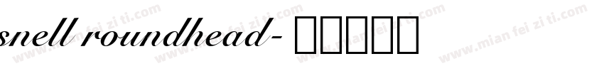 snell roundhead字体转换